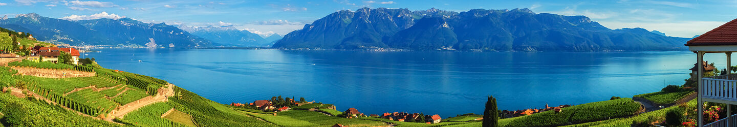 Blick auf die Lavaux-Region am Genfer See © iStock.com / Elenarts